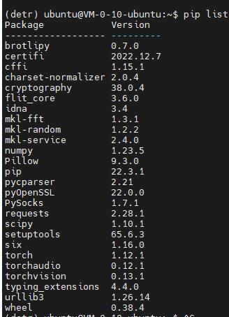 DETR(DEtection