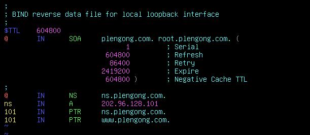 Debian-BIND9域名解析实验-BIND9_服务器配置_05