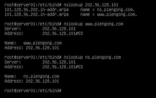 Debian-BIND9域名解析实验-BIND9_服务器配置_07