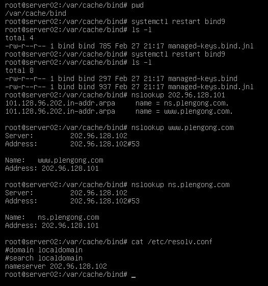 Debian-BIND9域名解析实验-BIND9_服务器配置_14