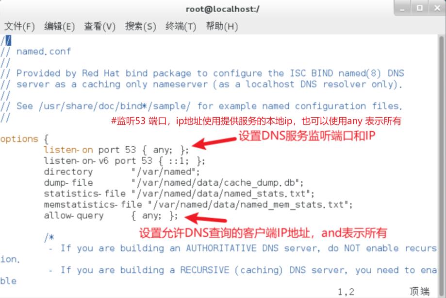 Linux-DNS服务器的配置(bind)_重启_03