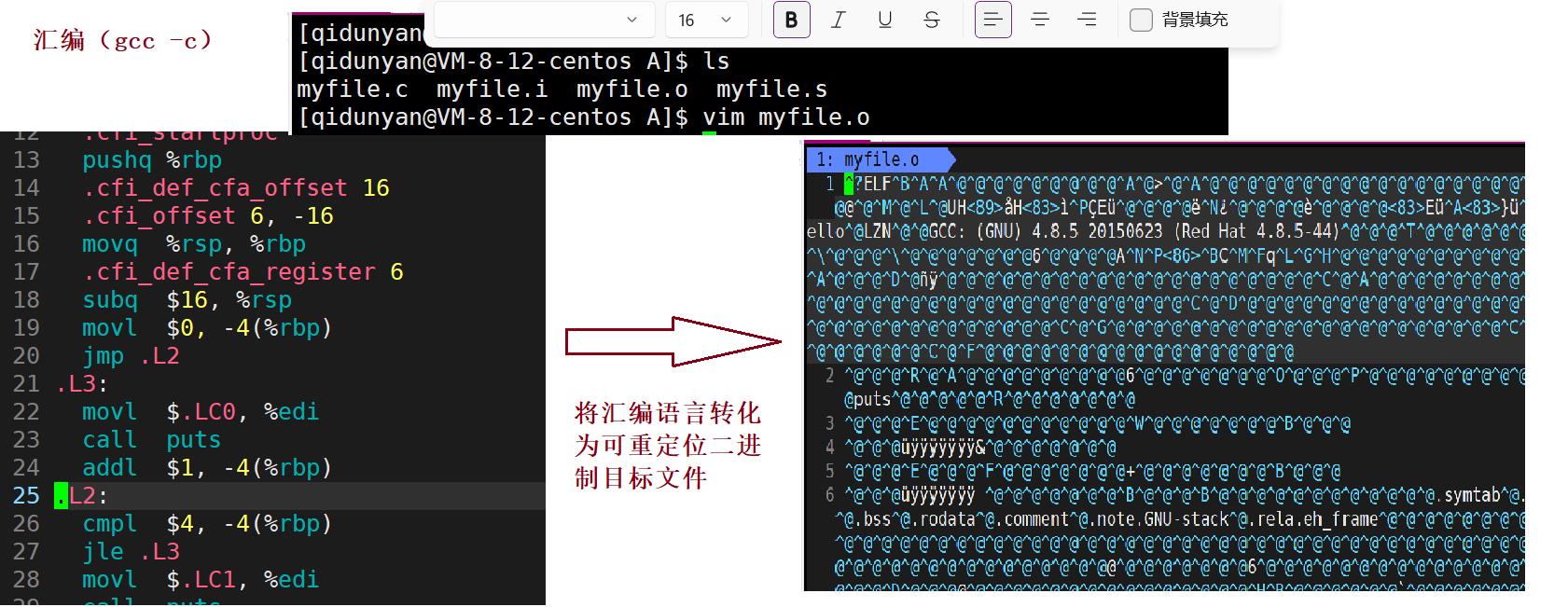 【gcc/g++】程序的翻译（.c