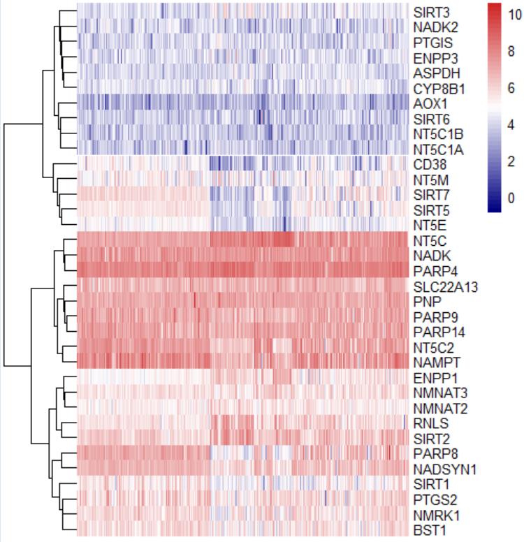巧用热图展示基因分布的总体趋势_聚类_03