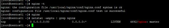 Nginx和tomcat实现负载均衡_nginx_36