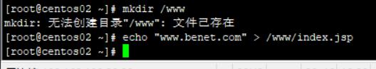 Nginx和tomcat实现负载均衡_DNS_16