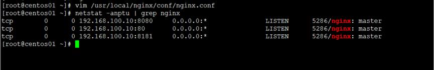 nginx网站服务器_nginx_25