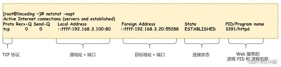 计算机网络——HTTP网络访问全流程_网络_14