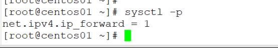 Nginx和tomcat实现负载均衡_DNS_07